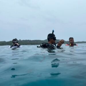 Picture of Reef Snorkeling