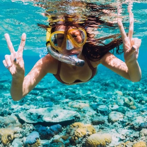 Reef Snorkel