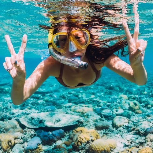 Reef Snorkel